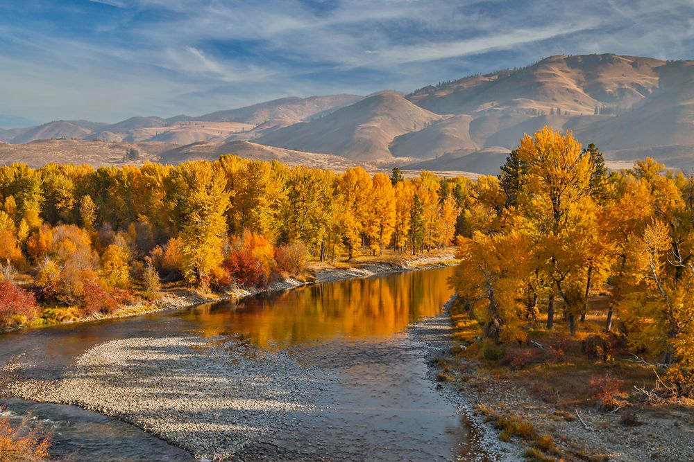 USA- Washington State- Methow Valley and river edged in Fall colored trees. art print by Darrell Gulin for $57.95 CAD