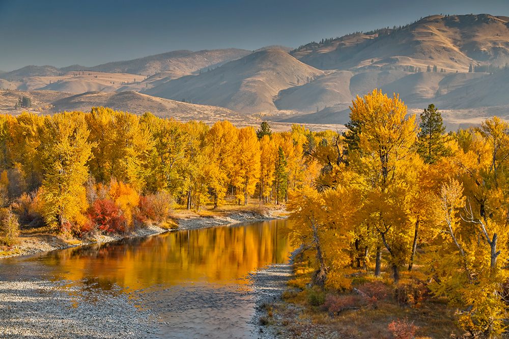 USA- Washington State- Methow Valley and river edged in Fall colored trees. art print by Darrell Gulin for $57.95 CAD