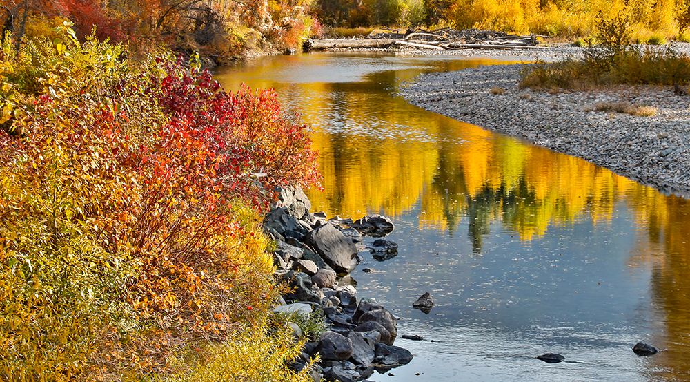 USA- Washington State- Methow Valley and river edged in Fall colored trees. art print by Darrell Gulin for $57.95 CAD