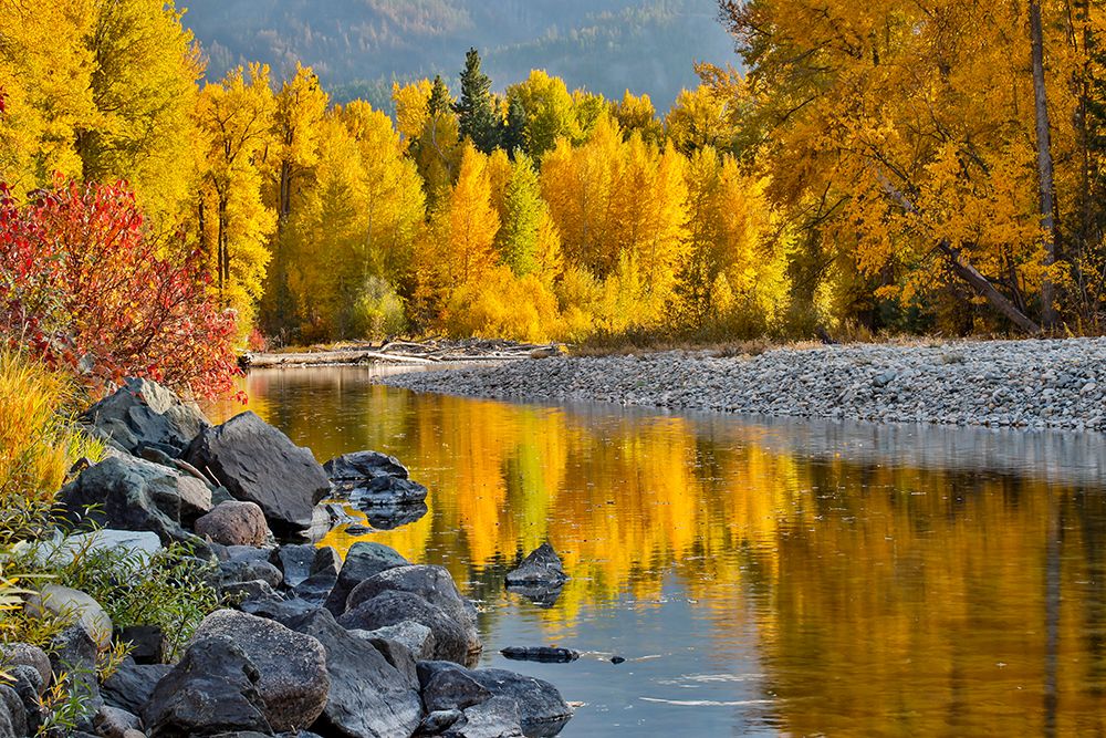 USA- Washington State- Methow Valley and river edged in Fall colored trees. art print by Darrell Gulin for $57.95 CAD