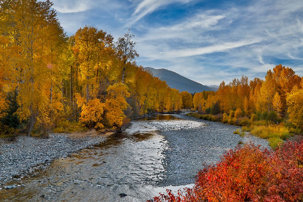 USA- Washington State- Methow Valley and river edged in Fall colored trees. art print by Darrell Gulin for $57.95 CAD