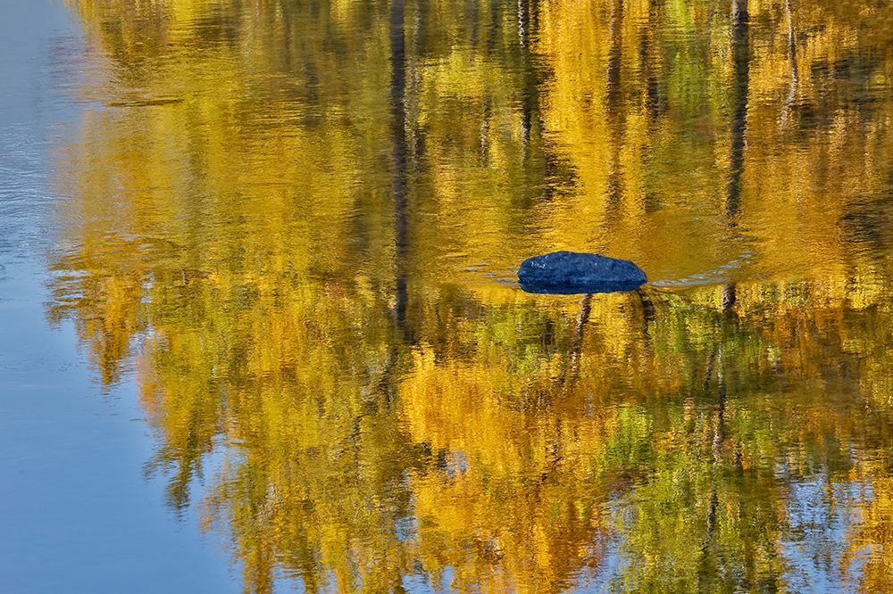 USA, Washington State. Autumn colors along the Methow River near Winthrop art print by Darrell Gulin for $57.95 CAD