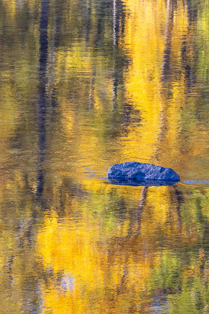 USA, Washington State. Autumn colors along the Methow River near Winthrop art print by Darrell Gulin for $57.95 CAD
