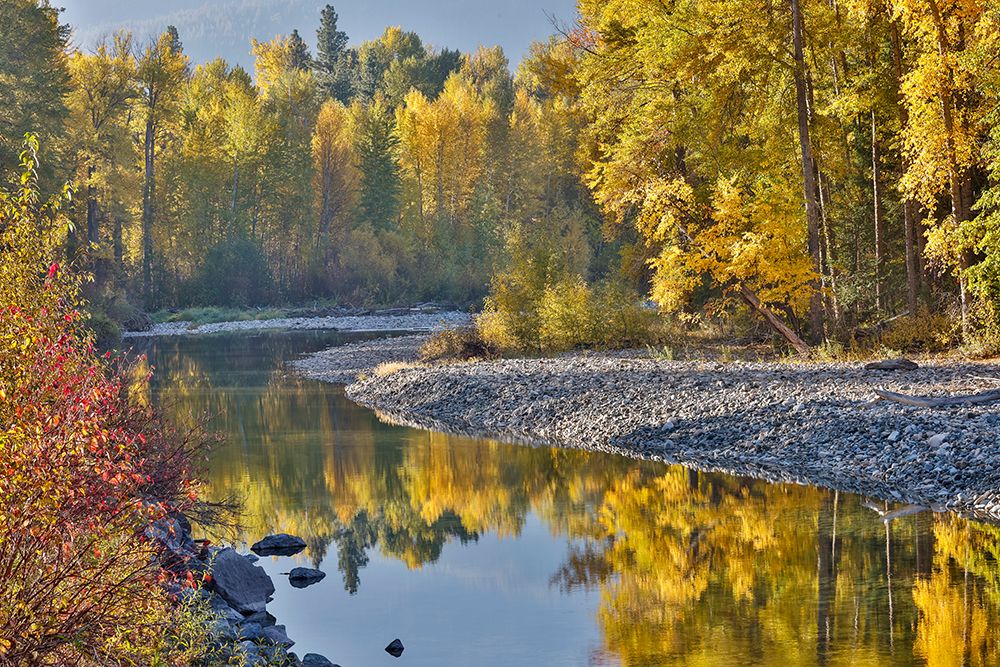 USA, Washington State. Autumn colors along the Methow River near Winthrop art print by Darrell Gulin for $57.95 CAD