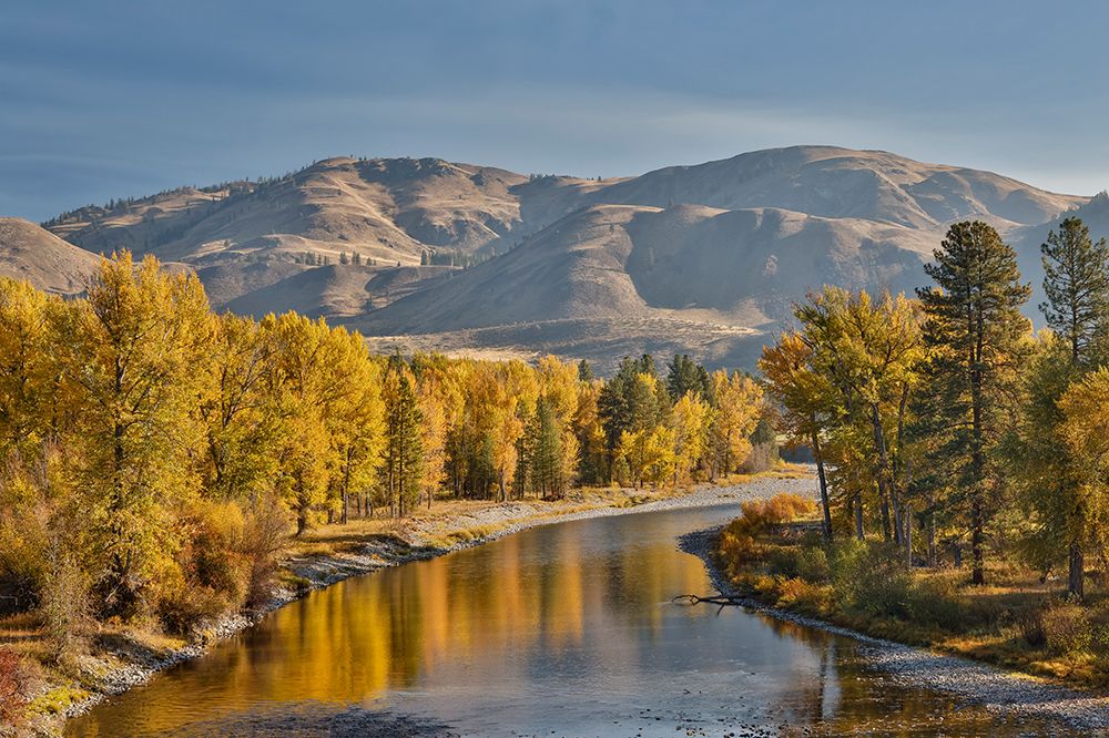 USA, Washington State. Autumn colors along the Methow River near Winthrop art print by Darrell Gulin for $57.95 CAD