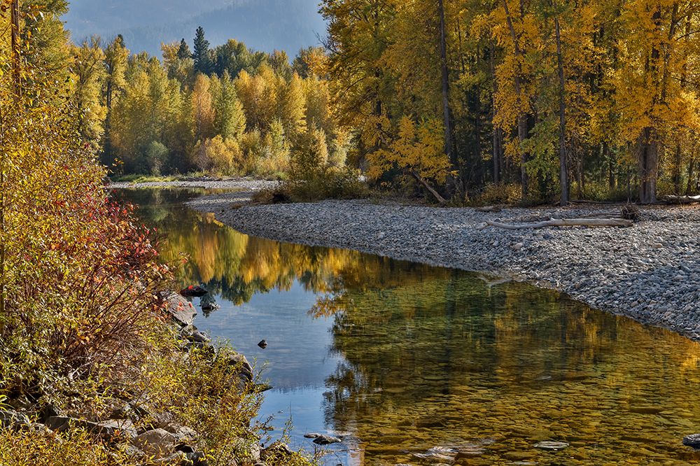 USA, Washington State. Autumn colors along the Methow River near Winthrop art print by Darrell Gulin for $57.95 CAD