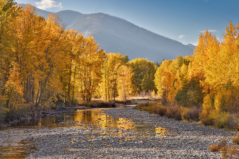 USA, Washington State. Autumn colors along the Methow River near Winthrop art print by Darrell Gulin for $57.95 CAD