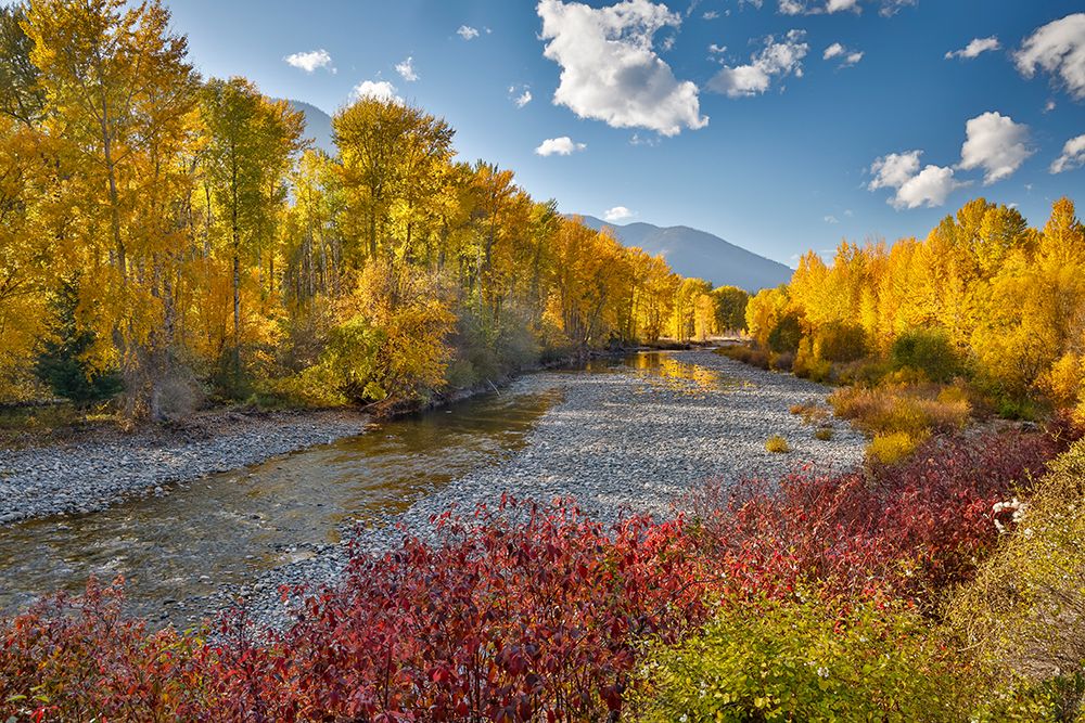 USA, Washington State. Autumn colors along the Methow River near Winthrop art print by Darrell Gulin for $57.95 CAD