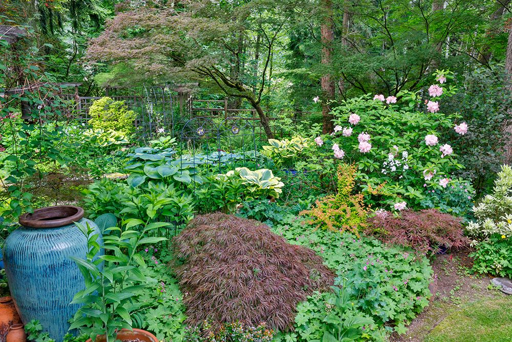 USA, Washington State, Sammamish. Garden art print by Darrell Gulin for $57.95 CAD