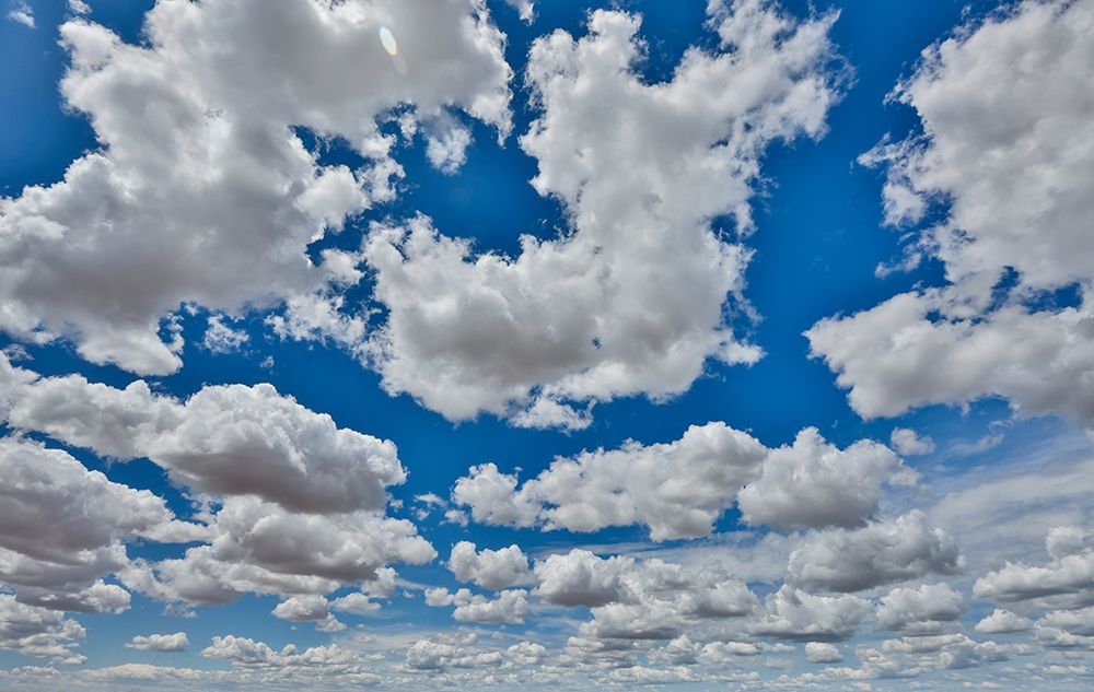 USA, Washington State. Highway 26 just west of Washtucna with clouds over wheat fields art print by Darrell Gulin for $57.95 CAD