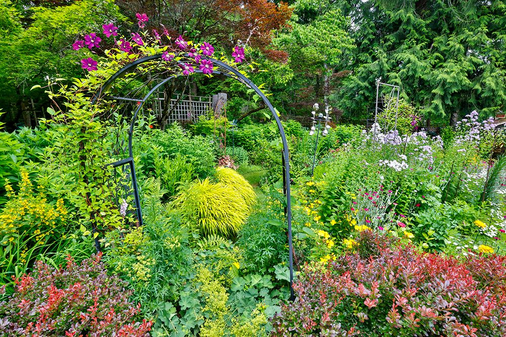 USA, Washington State, Sammamish. Garden in bloom in sunny location art print by Darrell Gulin for $57.95 CAD