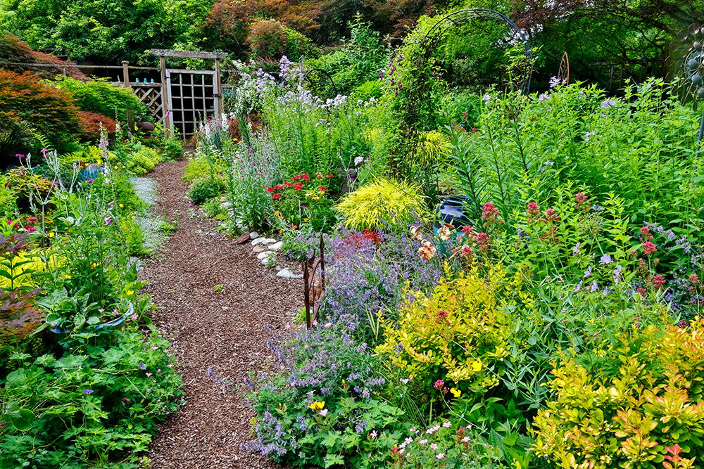 USA, Washington State, Sammamish. Garden in bloom in sunny location art print by Darrell Gulin for $57.95 CAD