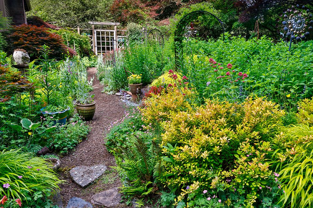 USA, Washington State, Sammamish. Garden in bloom in sunny location art print by Darrell Gulin for $57.95 CAD