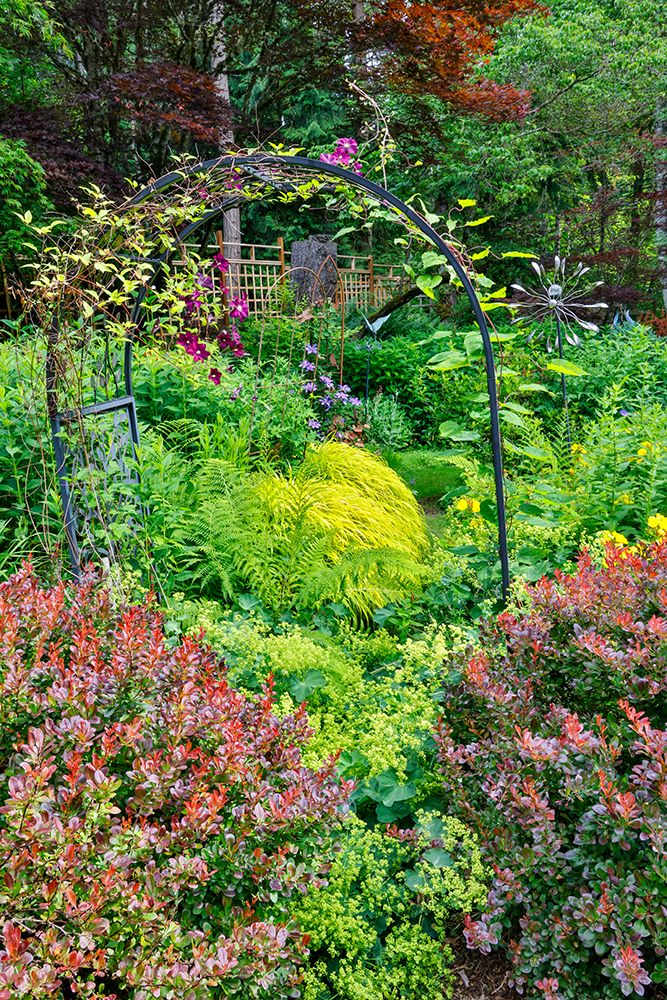 USA, Washington State, Sammamish. Garden in bloom in sunny location art print by Darrell Gulin for $57.95 CAD