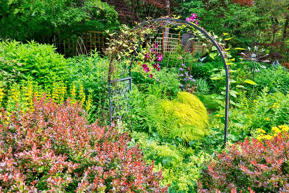 USA, Washington State, Sammamish. Garden in bloom in sunny location art print by Darrell Gulin for $57.95 CAD