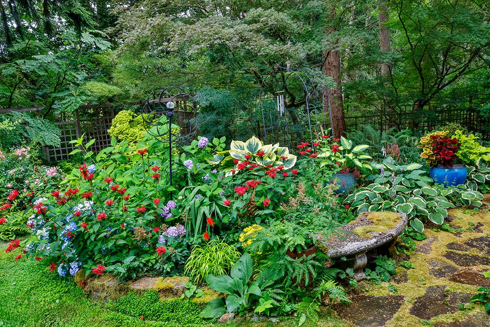 USA, Washington State, Sammamish. Garden in bloom in sunny location art print by Darrell Gulin for $57.95 CAD