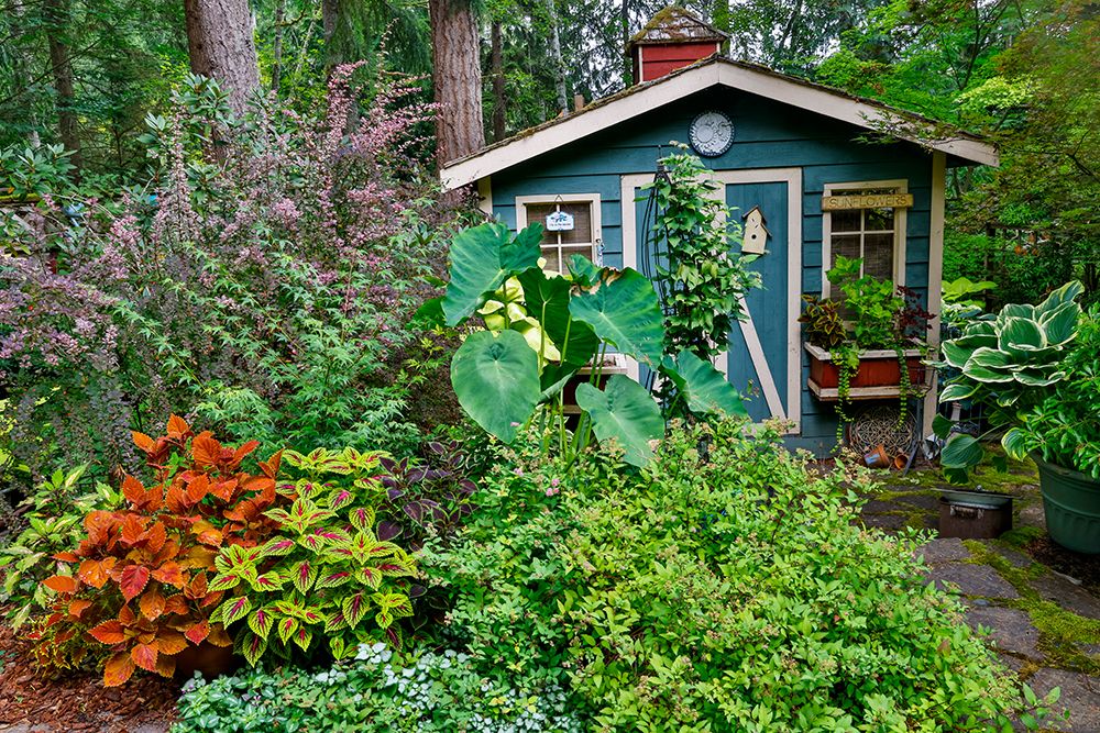 USA, Washington State, Sammamish. Garden and shed art print by Darrell Gulin for $57.95 CAD