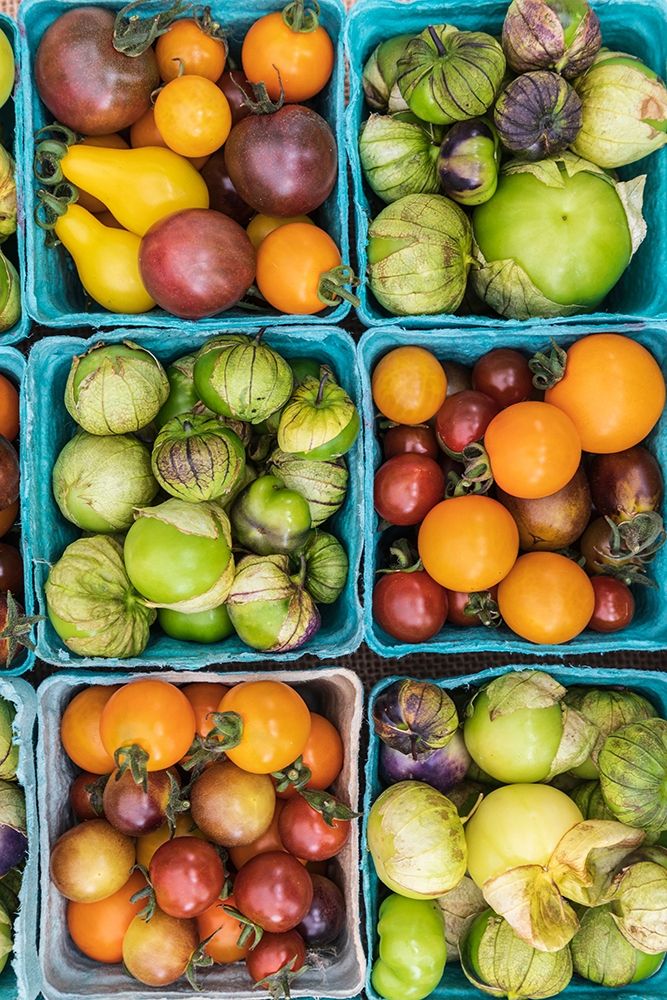 Washington State-Vancouver Fresh heirloom tomatoes for sale at a farmers market art print by Emily Wilson for $57.95 CAD