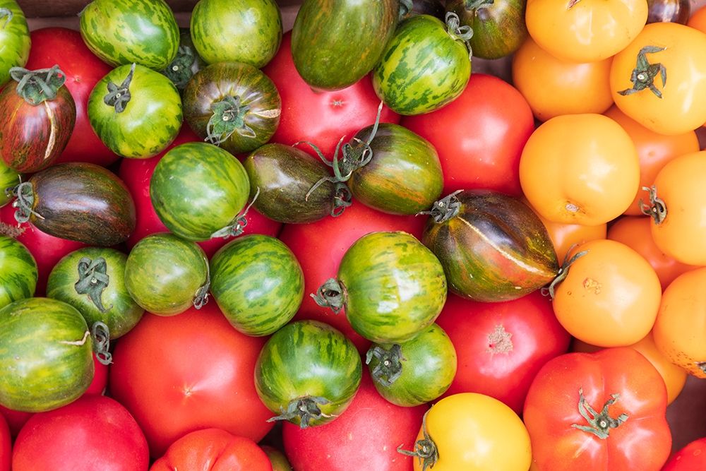 Washington State-Vancouver Fresh heirloom tomatoes for sale at a farmers market art print by Emily Wilson for $57.95 CAD