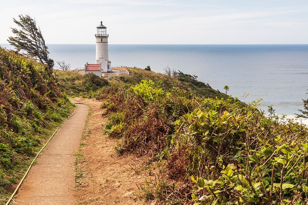 Washington State-Ilwaco-Cape Disappointment State Park North Head lighthouse art print by Emily Wilson for $57.95 CAD