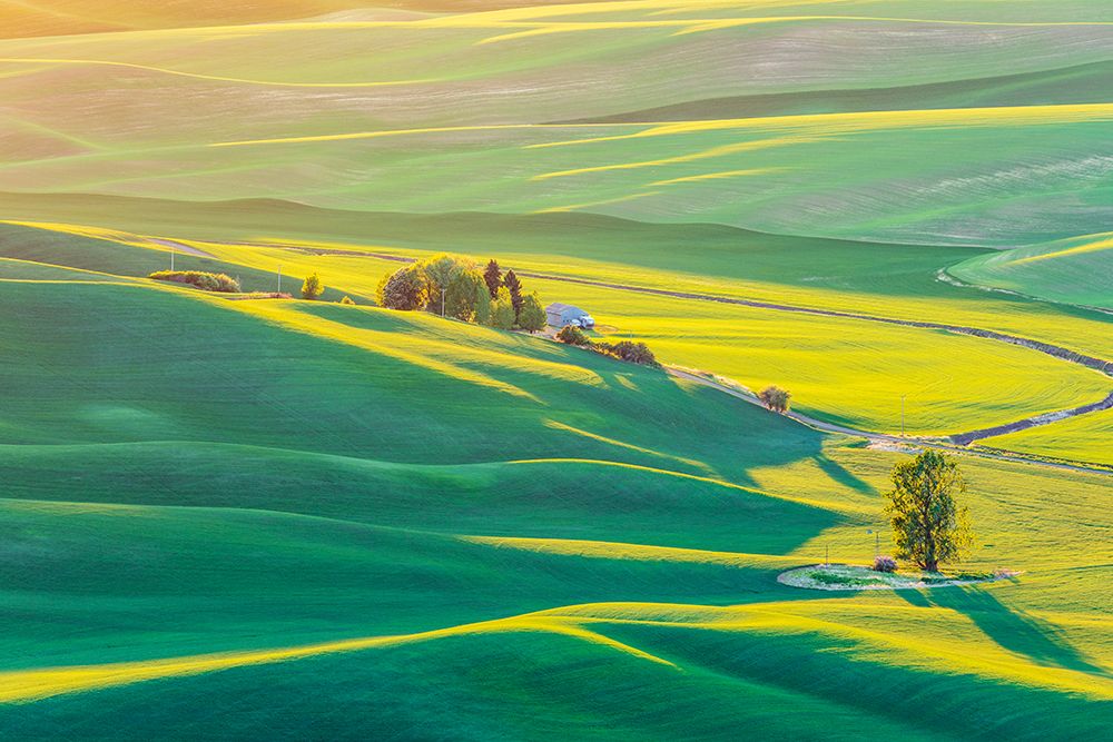 Steptoe Butte State Park-Washington State-USA-Sunset view of wheat fields in the rolling Palouse hi art print by Emily Wilson for $57.95 CAD