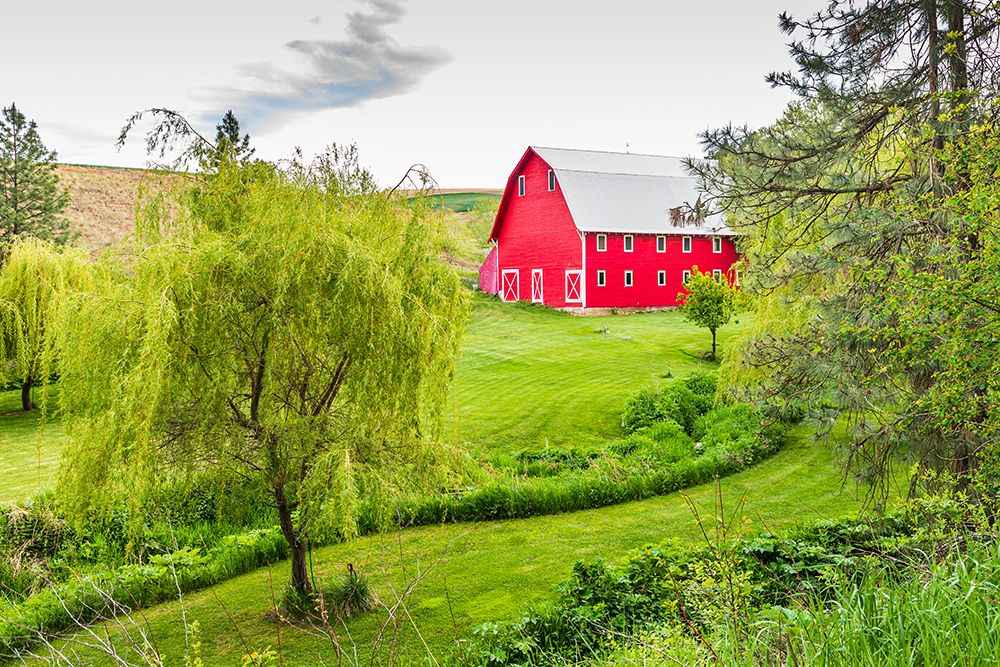 Colfax-Washington State-USA-A red barn on a farm in the Palouse hills art print by Emily Wilson for $57.95 CAD