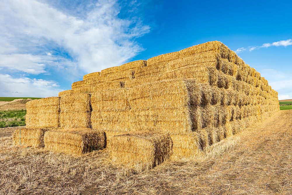 Pullman-Washington State-USA-Stack of hay bales in the Palouse hills art print by Emily Wilson for $57.95 CAD