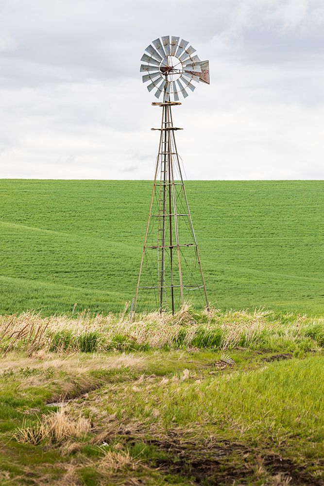 Palouse-Washington State-USA-Windmill in wheat field in the Palouse hills art print by Emily Wilson for $57.95 CAD