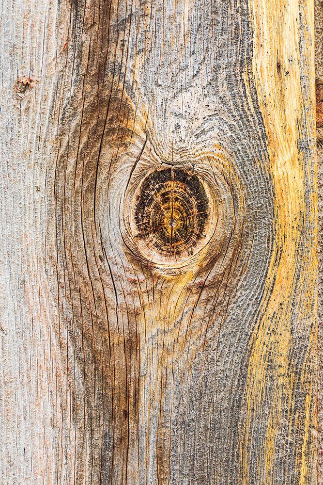 Latah-Washington State-USA-Knot in weathered wood on an old barn art print by Emily Wilson for $57.95 CAD