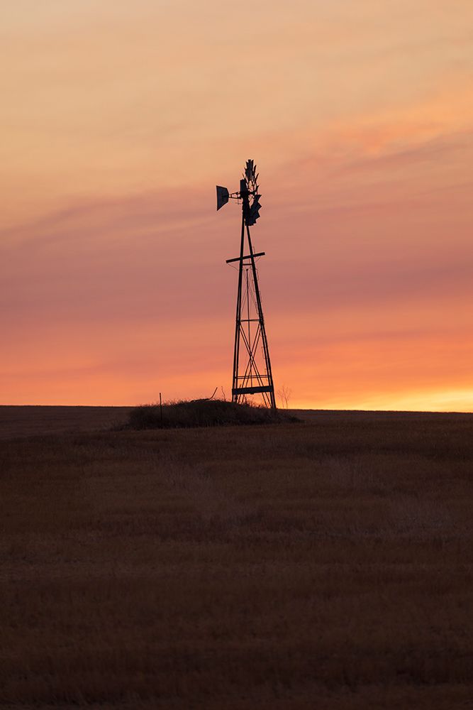USA- Washington State- Whitman County- Palouse art print by Emily Wilson for $57.95 CAD