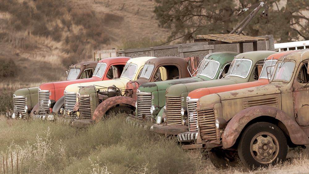 USA- Washington State- Whitman County- Palouse. Colfax. Old trucks. art print by Emily Wilson for $57.95 CAD