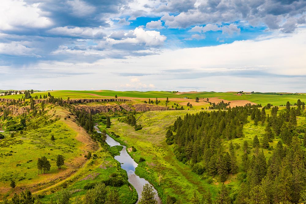 USA-Washington State-Palouse-Colfax River Valley art print by Emily M. Wilson for $57.95 CAD