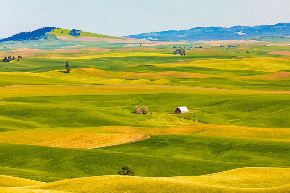 USA-Washington State-Palouse-Colfax art print by Emily M. Wilson for $57.95 CAD