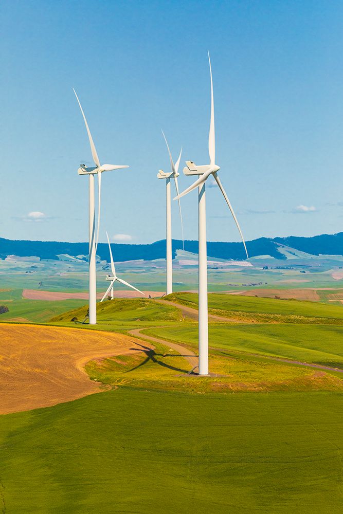 USA-Washington State-Palouse Oakesdale White wind turbines-windmills art print by Emily M. Wilson for $57.95 CAD