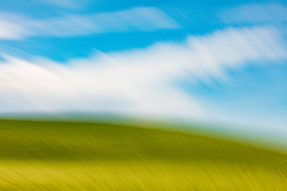 USA-Washington State-Palouse Pullman Green wheat fields and blue sky art print by Emily M. Wilson for $57.95 CAD