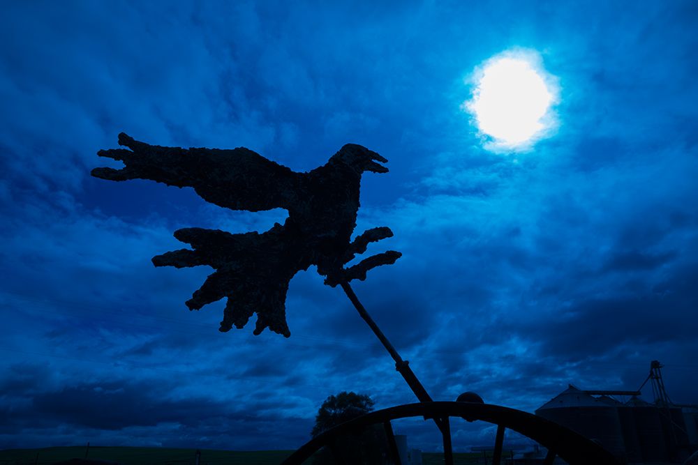USA-Washington State-Palouse-Colfax weathervane Bird art print by Emily M. Wilson for $57.95 CAD