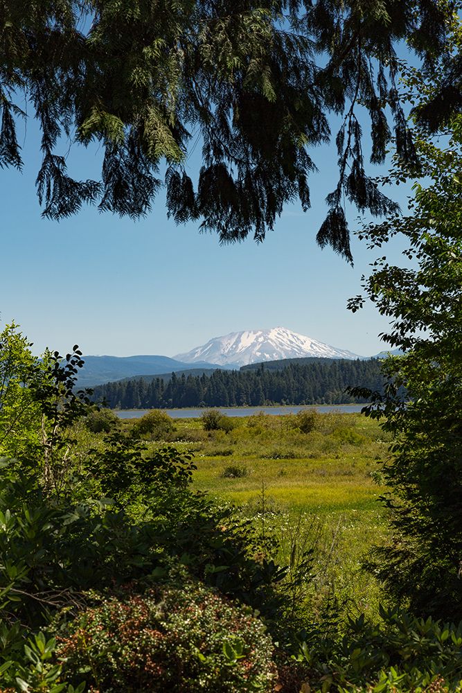 Washington State, Skamania County. Mount St. Helens or Louwala-Clough is an active stratovolcano. art print by Emily M. Wilson for $57.95 CAD