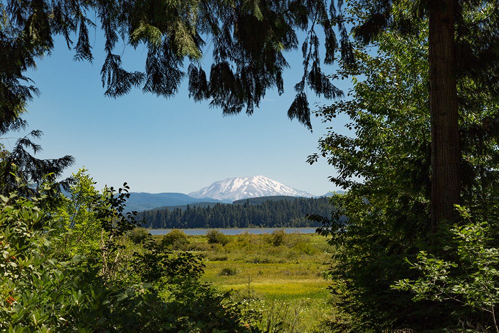 Washington State, Skamania County. Mount St. Helens or Louwala-Clough is an active stratovolcano. art print by Emily M. Wilson for $57.95 CAD