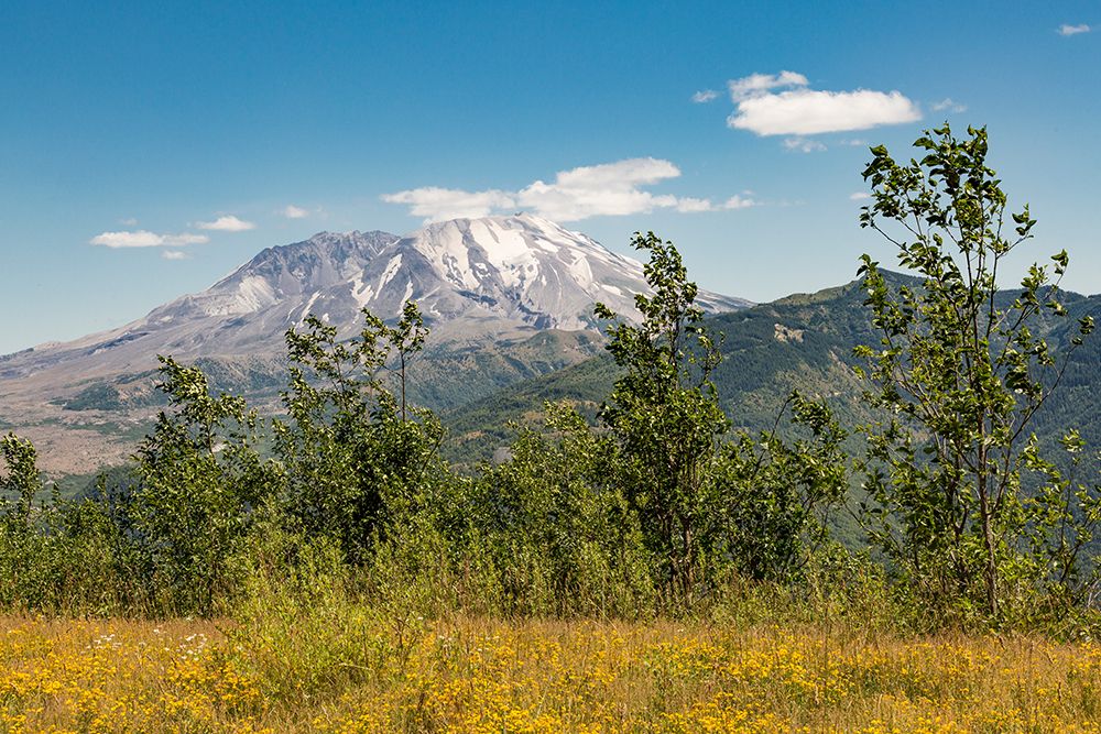 Washington State, Skamania County. Mount St. Helens or Louwala-Clough is an active stratovolcano. art print by Emily M. Wilson for $57.95 CAD