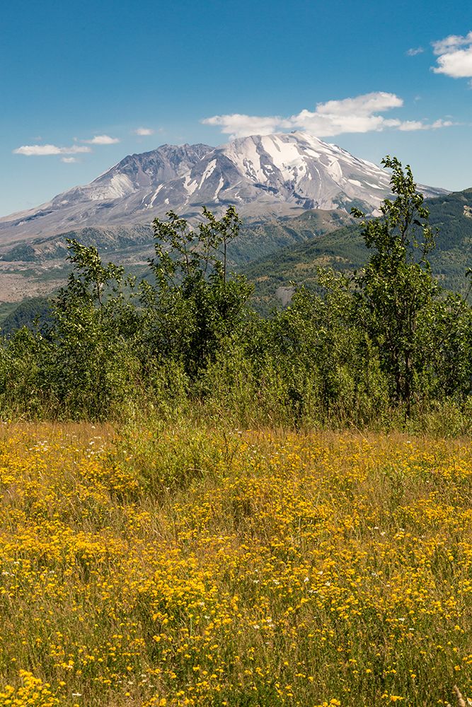 Washington State, Skamania County. Mount St. Helens or Louwala-Clough is an active stratovolcano. art print by Emily M. Wilson for $57.95 CAD