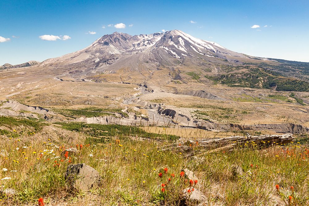 Washington State, Skamania County. Mount St. Helens or Louwala-Clough is an active stratovolcano. art print by Emily M. Wilson for $57.95 CAD