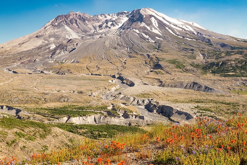 Washington State, Skamania County. Mount St. Helens or Louwala-Clough is an active stratovolcano. art print by Emily M. Wilson for $57.95 CAD