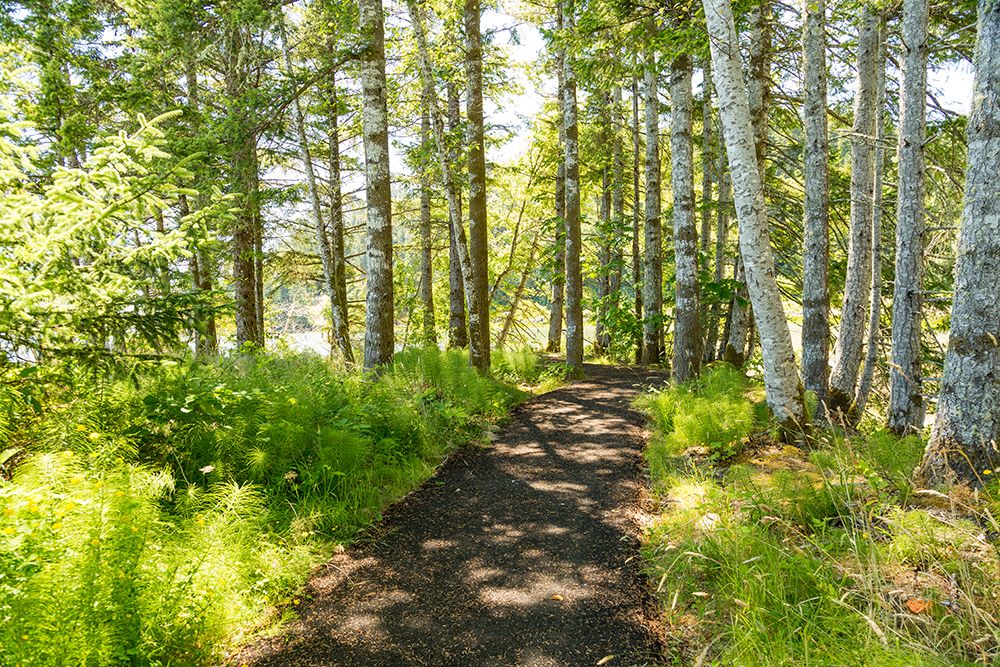 Washington State, Megler. Walk along the North Shore of the Columbia River. art print by Emily M. Wilson for $57.95 CAD