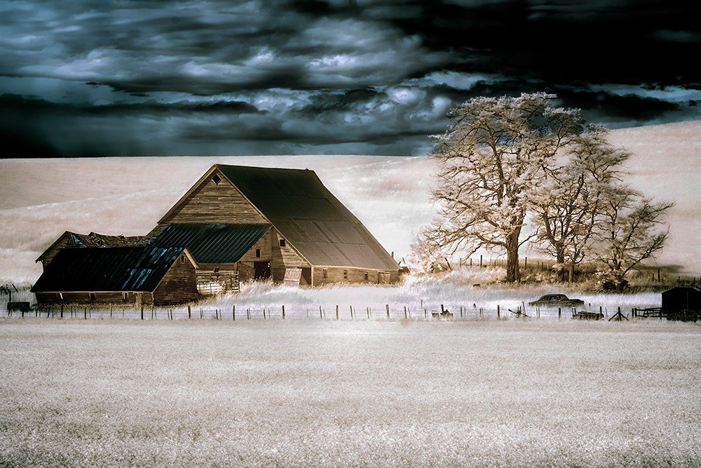 USA-Washington State-Palouse art print by George and Marilu Theodore for $57.95 CAD