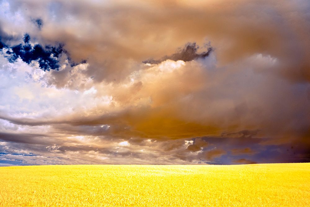 USA-Palouse abstract art print by George and Marilu Theodore for $57.95 CAD