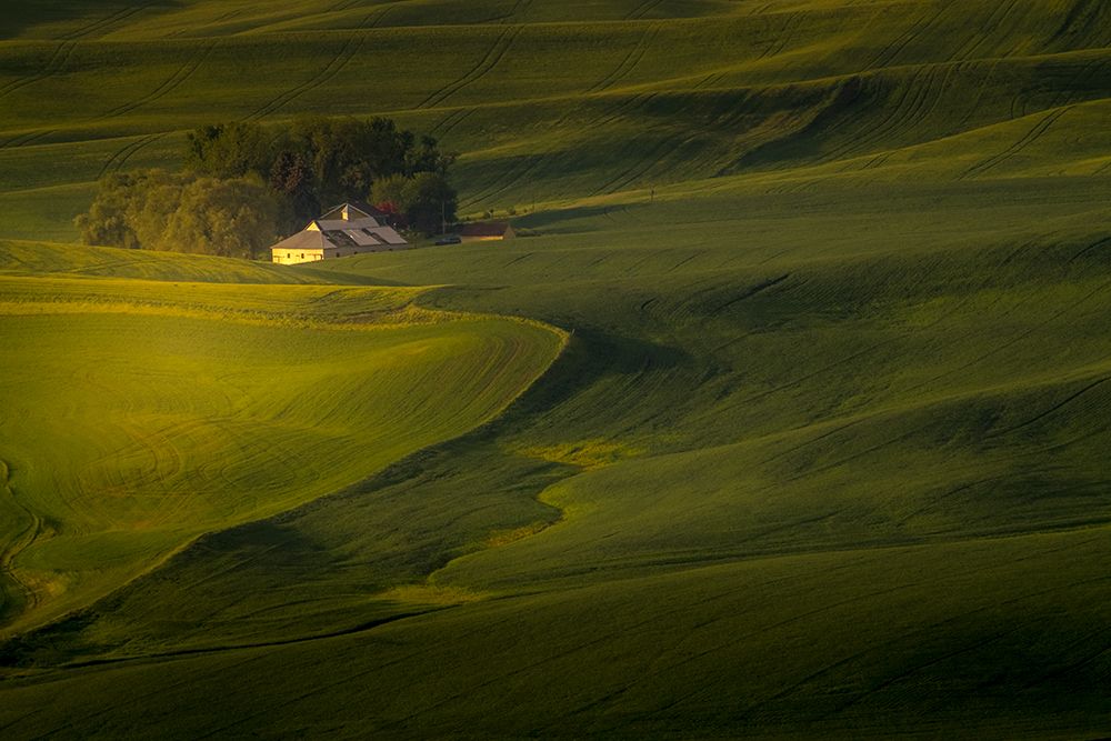 Farmland scene from above in the Palouse region of Washington State. art print by George and Marilu Theodore for $57.95 CAD
