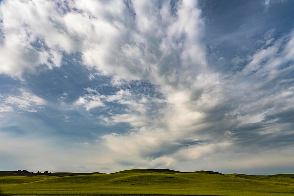 Field in the Palouse region of Washington with an interesting cloud formation art print by George and Marilu Theodore for $57.95 CAD