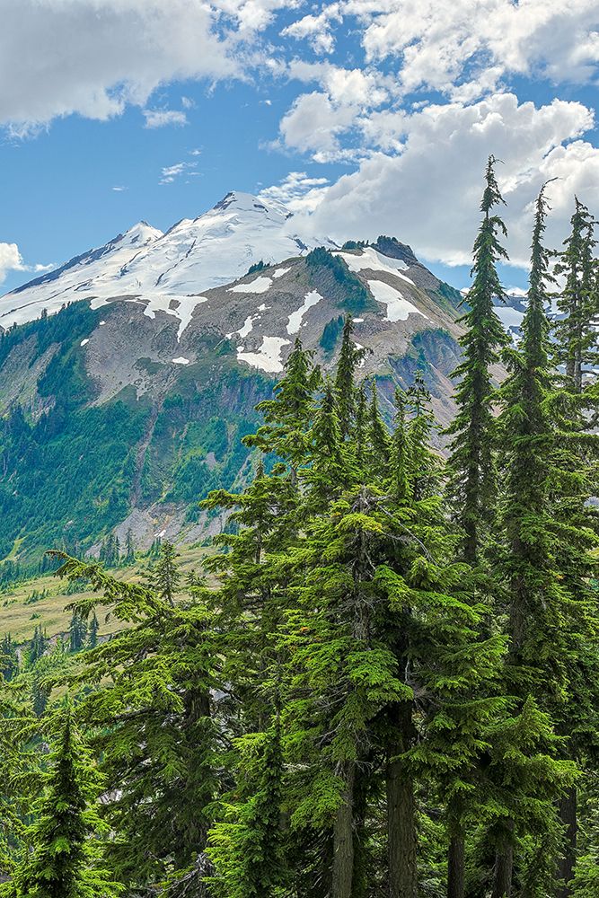 USA-Washington State-North Cascades National Park art print by Hollice Looney for $57.95 CAD
