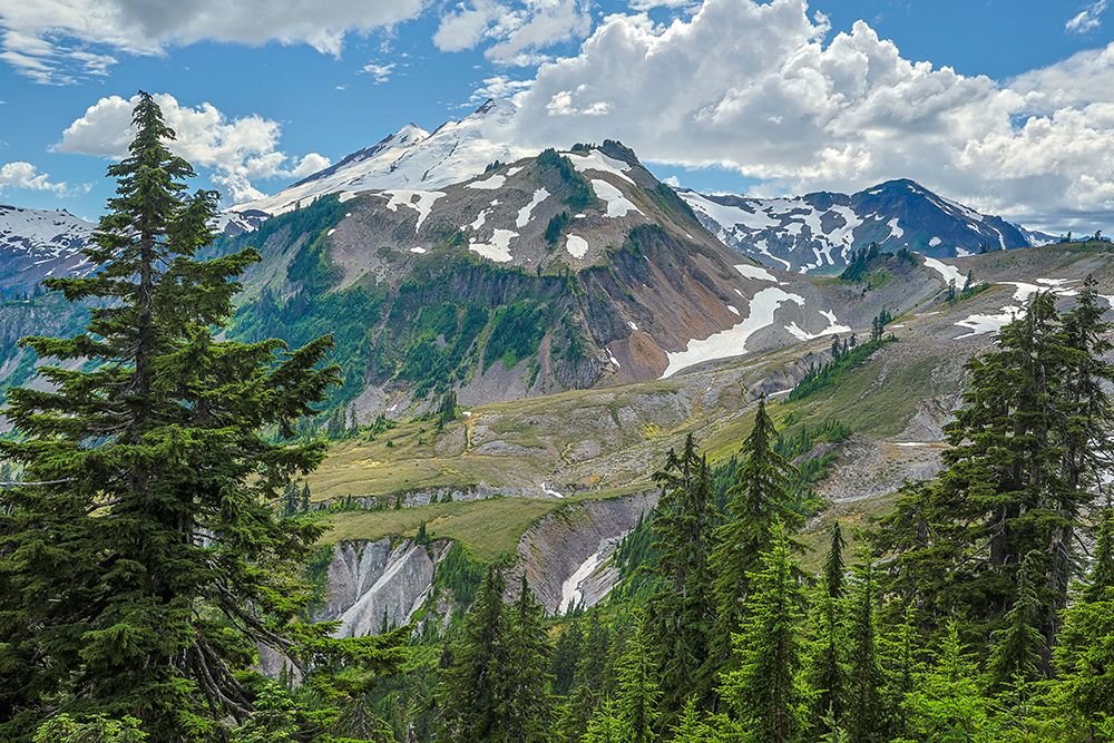 USA-Washington State-North Cascades National Park art print by Hollice Looney for $57.95 CAD