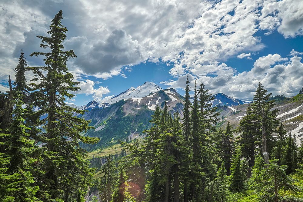USA-Washington State-North Cascades National Park art print by Hollice Looney for $57.95 CAD